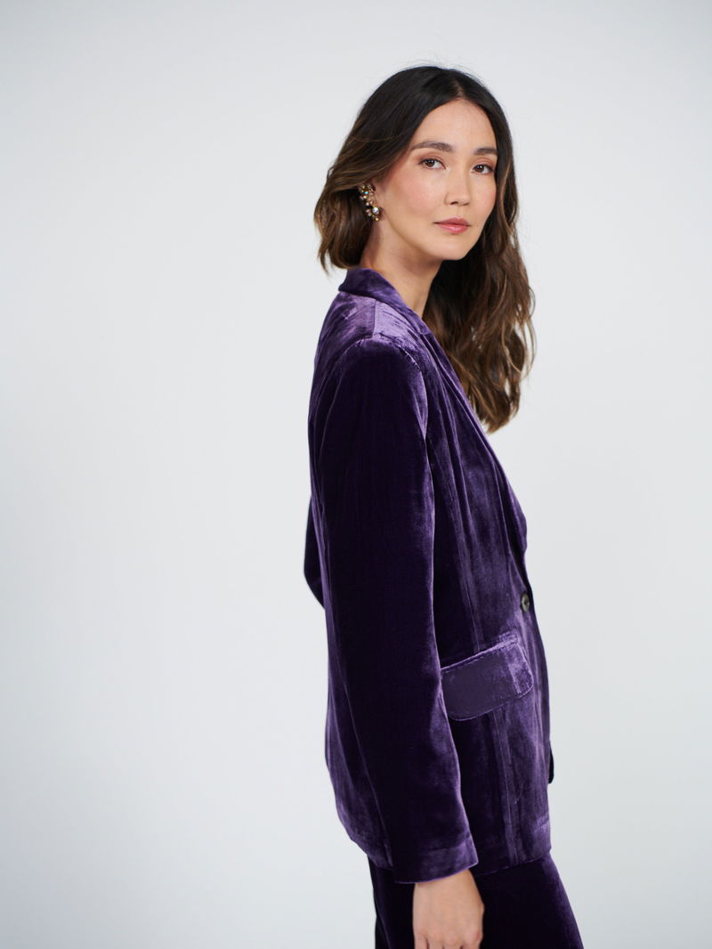 New May Velvet Blazer – NRBY