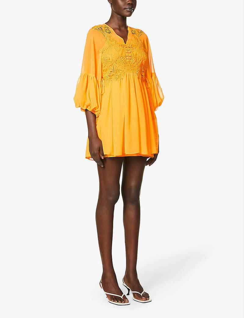 SELF-PORTRAIT Floral-Embroidered Pleated-Skirt Chiffon Mini Dress | endource
