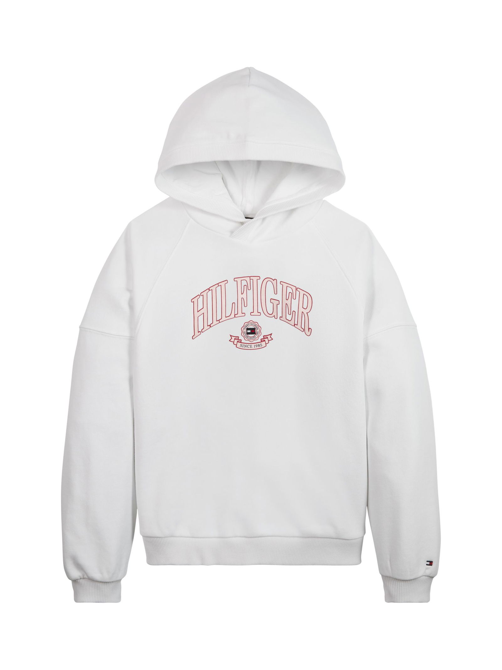 tommy hilfiger boys hoodie