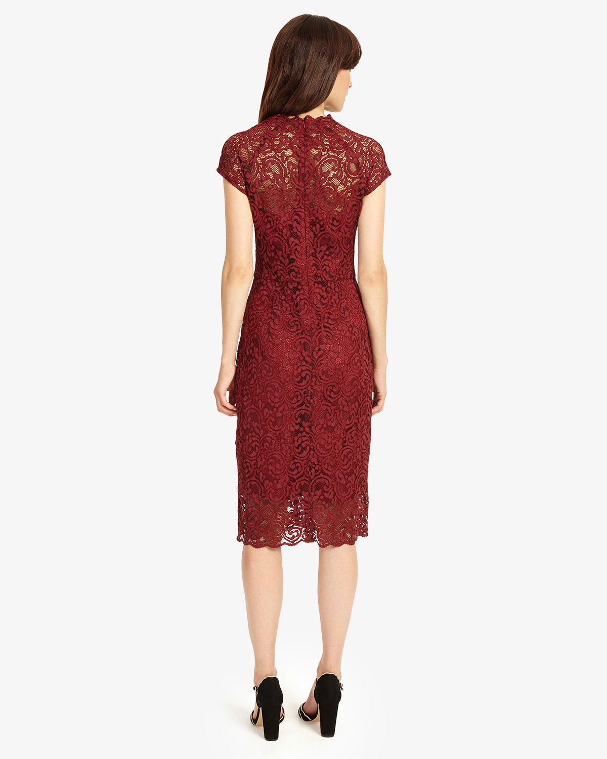 phase eight becky lace dress PHASE EIGHT Becky Lace Dress