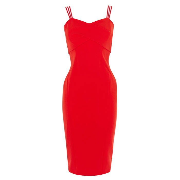 coast scarlett maxi dress Zephyr Maxi Dress