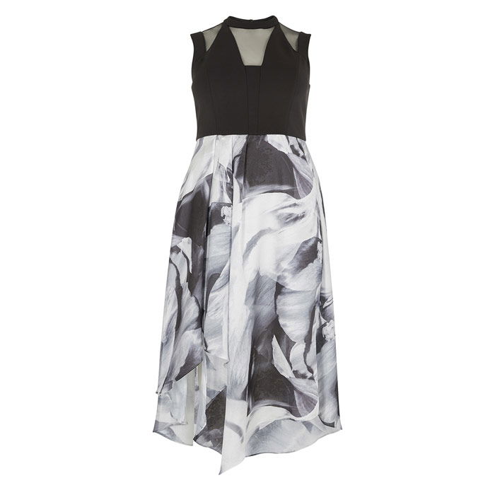 Coast Riona Print Jacquard Dress CC | endource