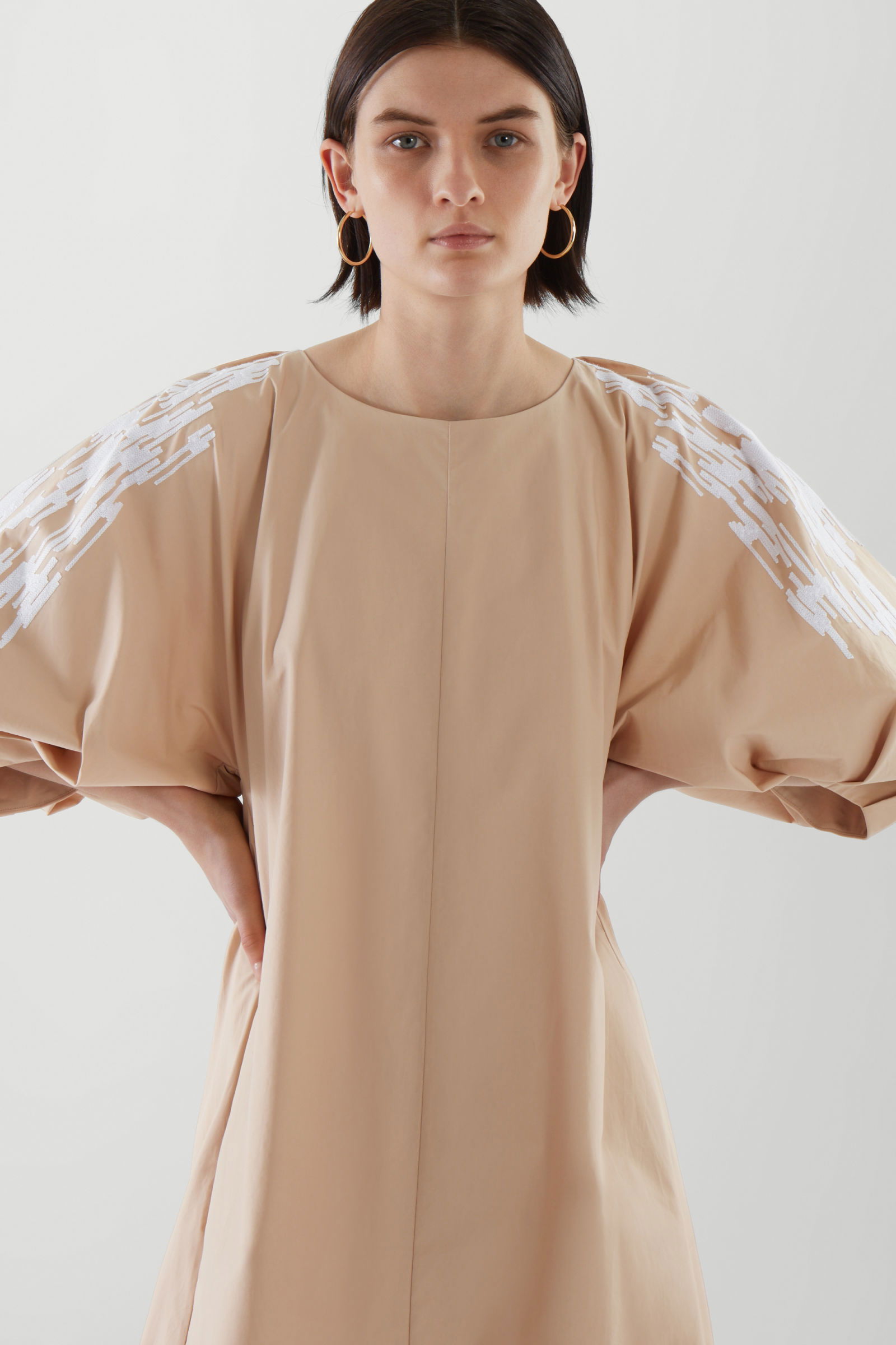 COS Embroidered Puff Sleeve Dress | endource