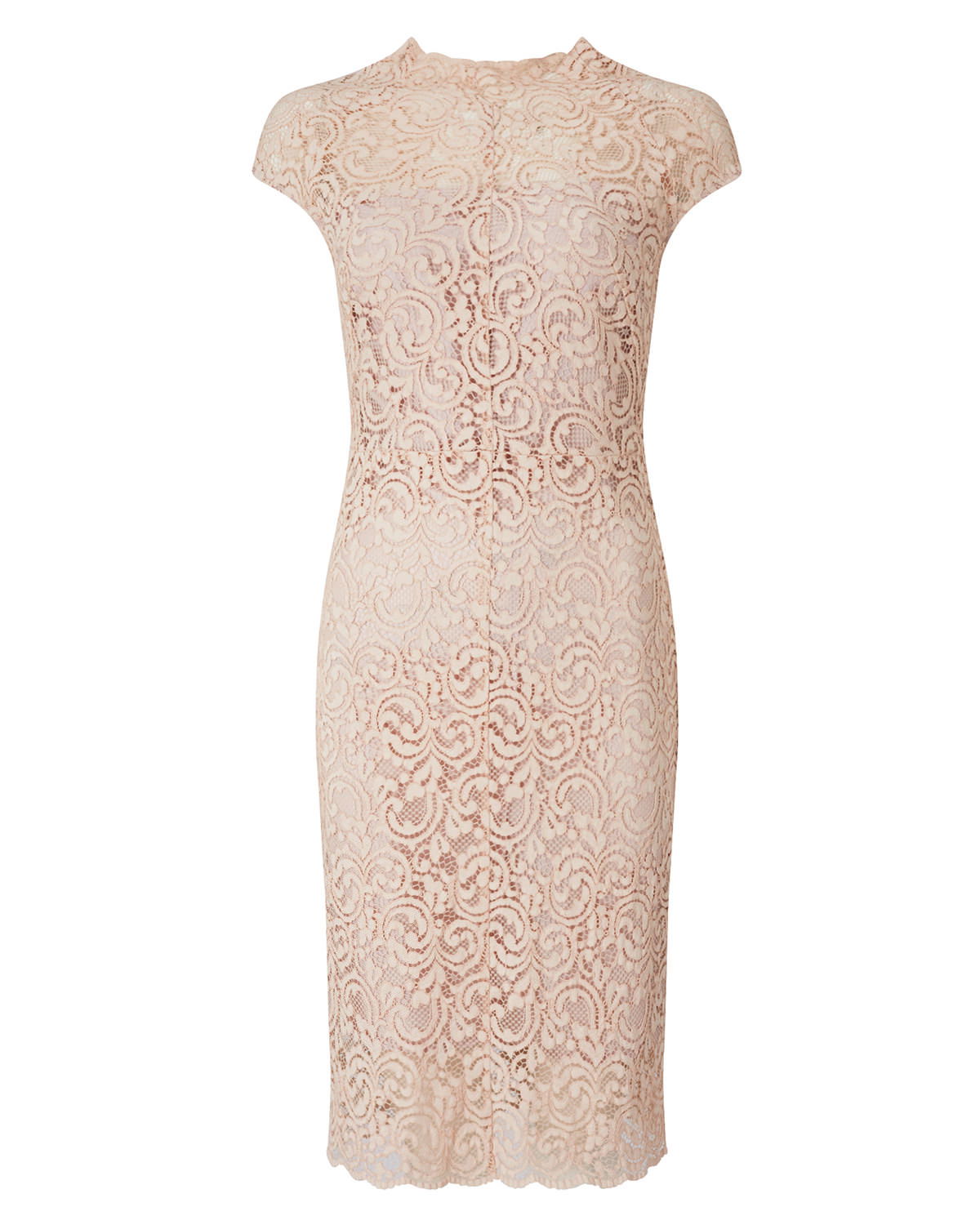 phase 8 becky lace dress Phase Eight Women's Lace Sheath Dress - Claret