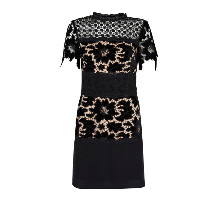 Coast Coco Lace Dress in Black | Endource