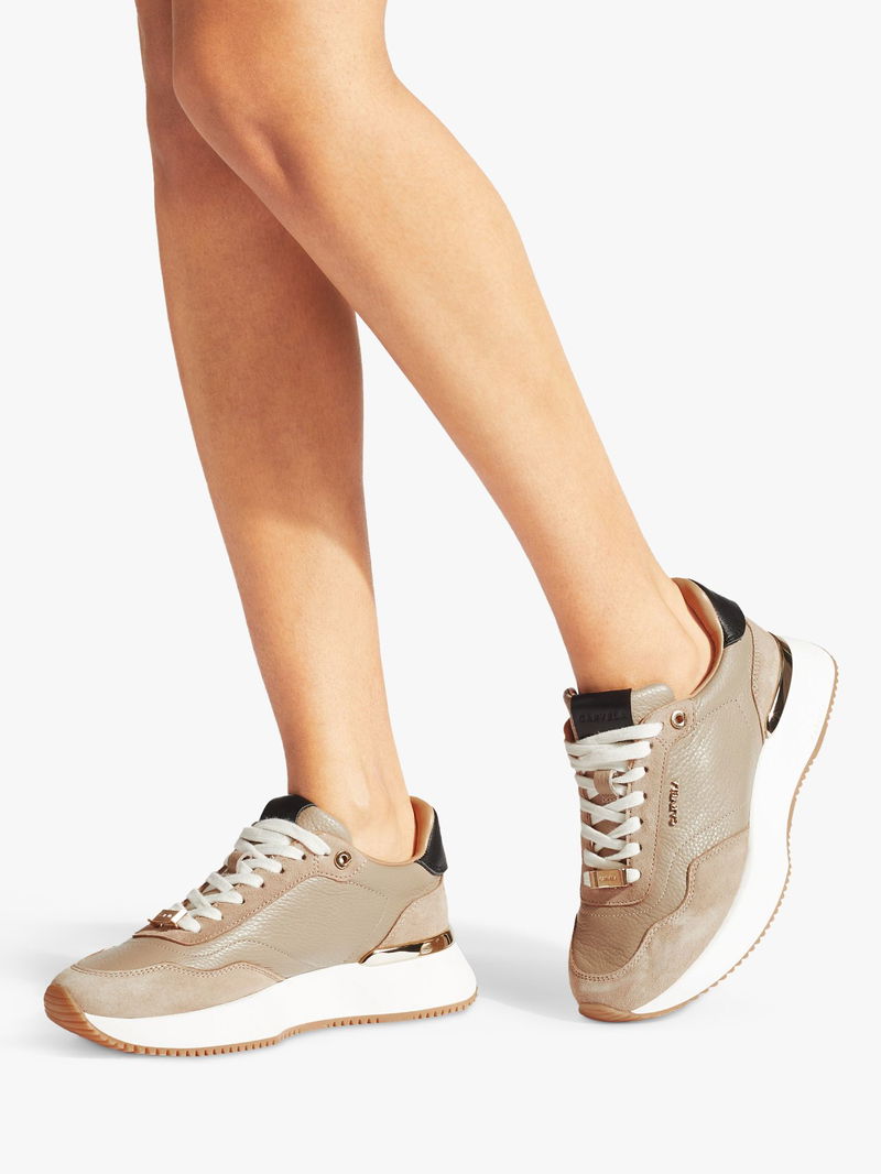 carvela lotus trainers