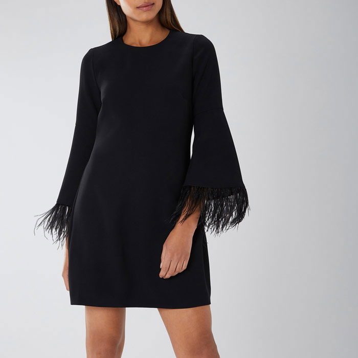 coast amiah feather dress