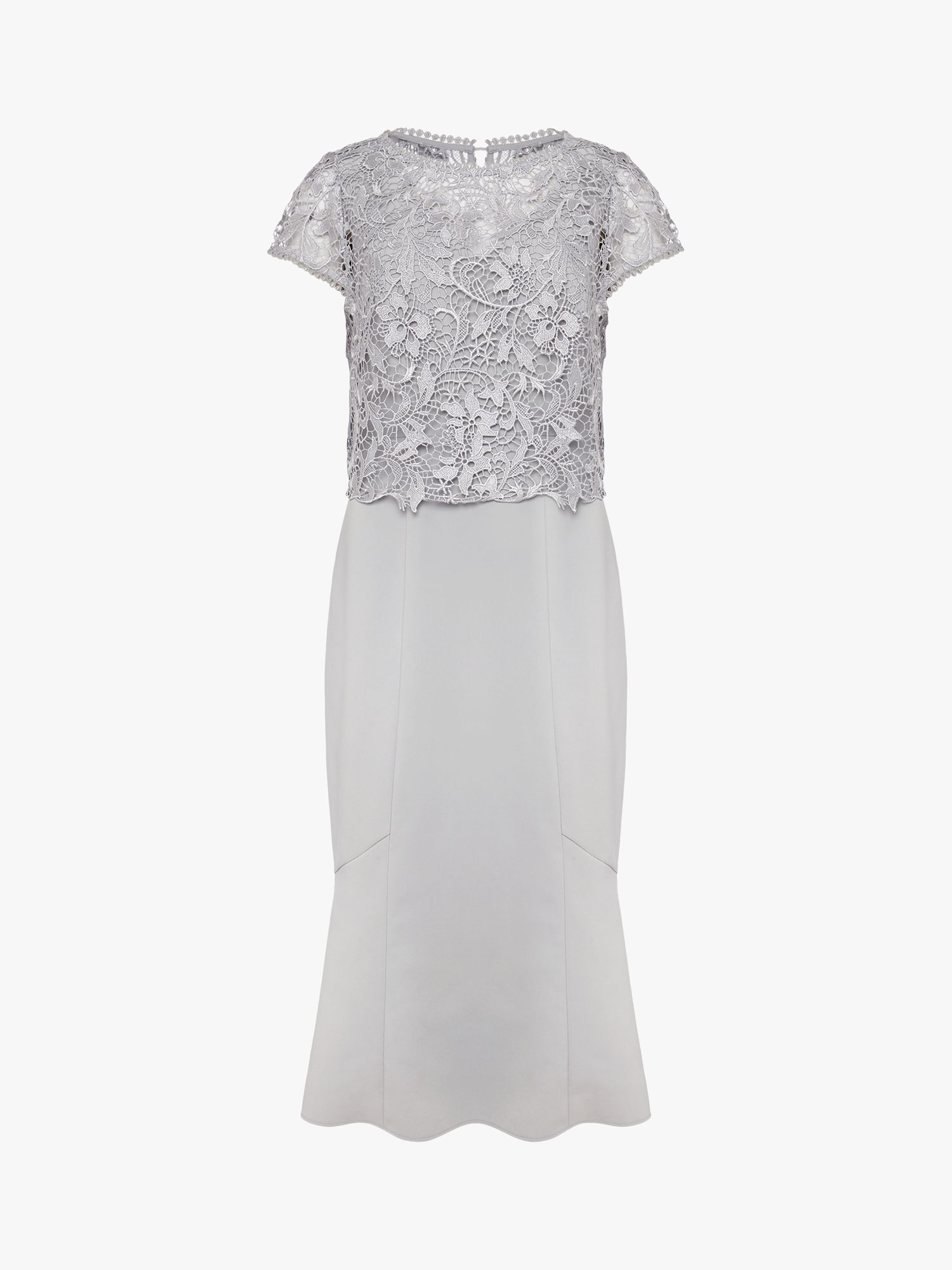 phase eight alice lace dress PHASE EIGHT Petite Phia Lace Dress