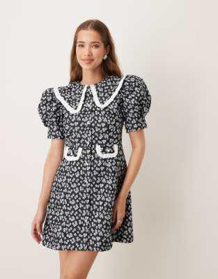 sister jane oversized collar corsage mini dress in black Sister Jane Oversized Collar Velvet Mini Dress  Dolls Kill
