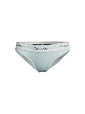 Calvin Klein Modern Cotton Bikini Brief In Grey