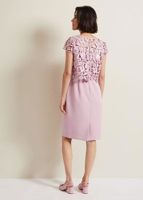 PHASE EIGHT Frances Lace Fitted Dress | endource