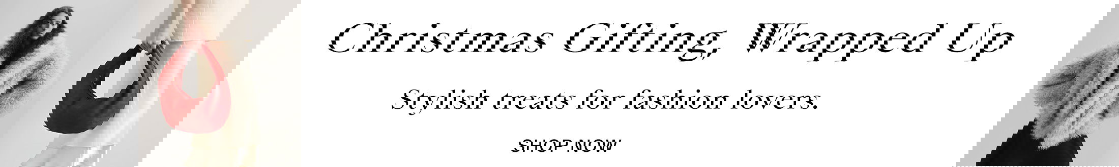 Christmas Promotional Banner