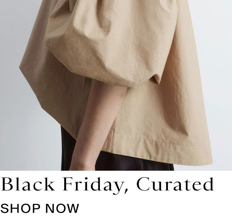 Black Friday Promotional Banner