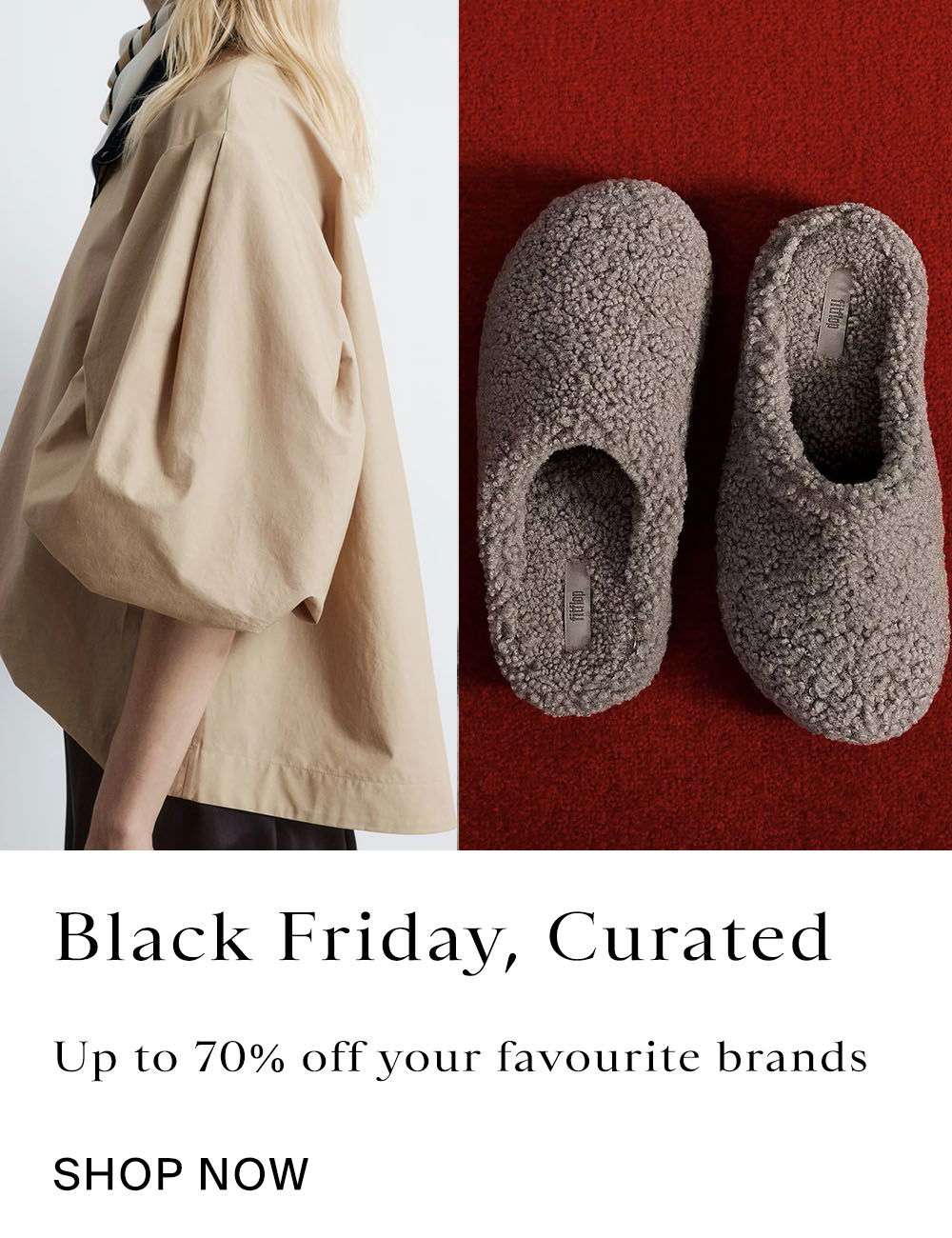 Black Friday Promotional Banner