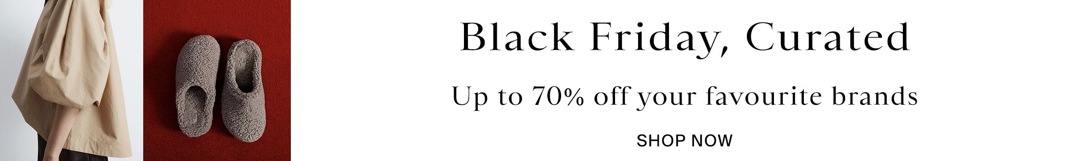 Black Friday Promotional Banner