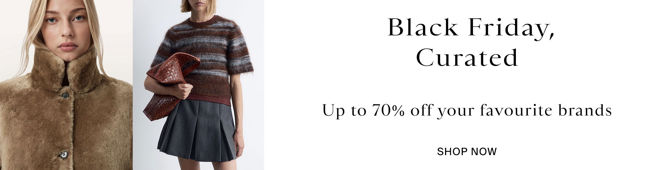 Black Friday Promotional Banner