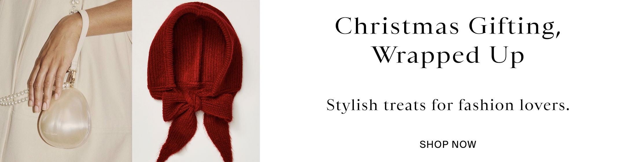 Christmas Promotional Banner