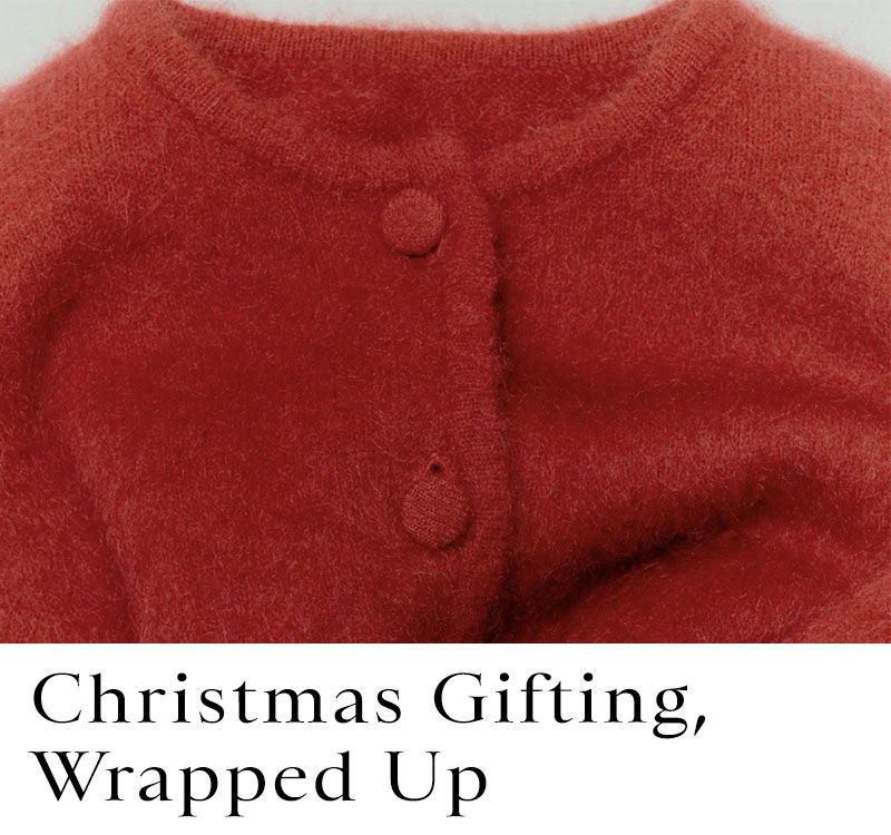 Christmas Promotional Banner