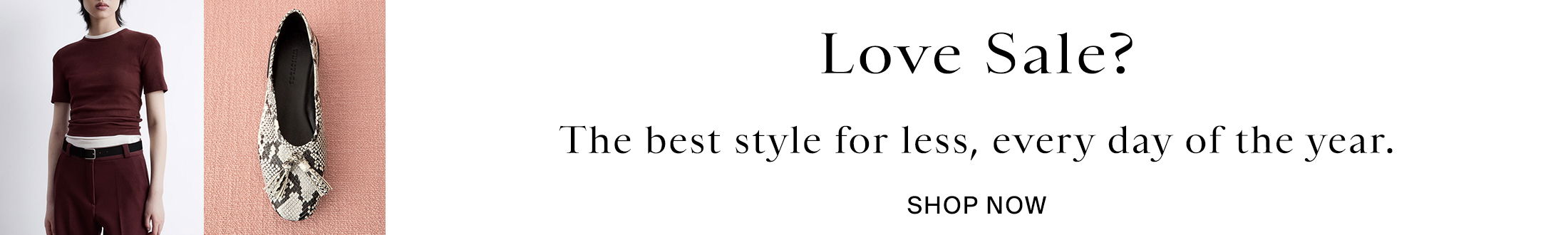 Sale Promotional Banner