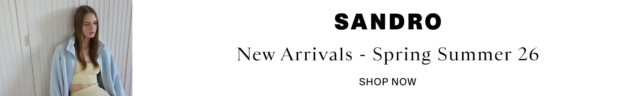 Sandro Promotional Banner