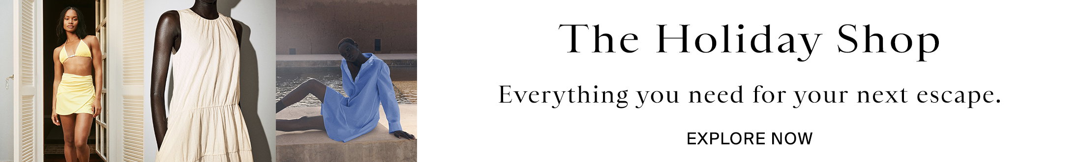 Holiday Promotional Banner