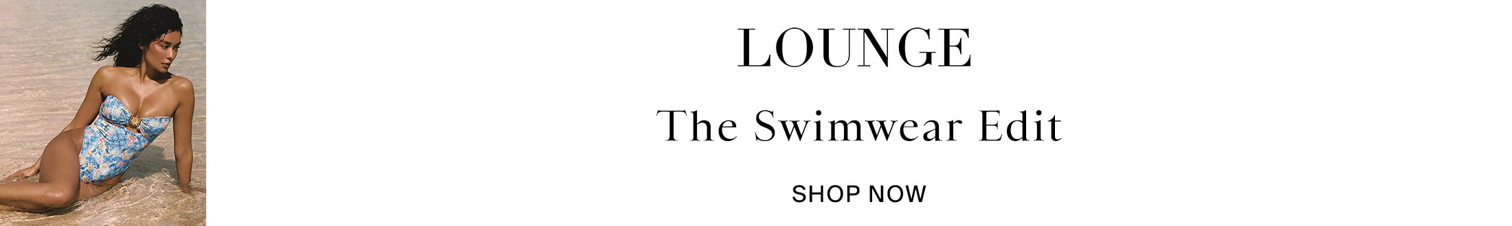 Lounge Promotional Banner