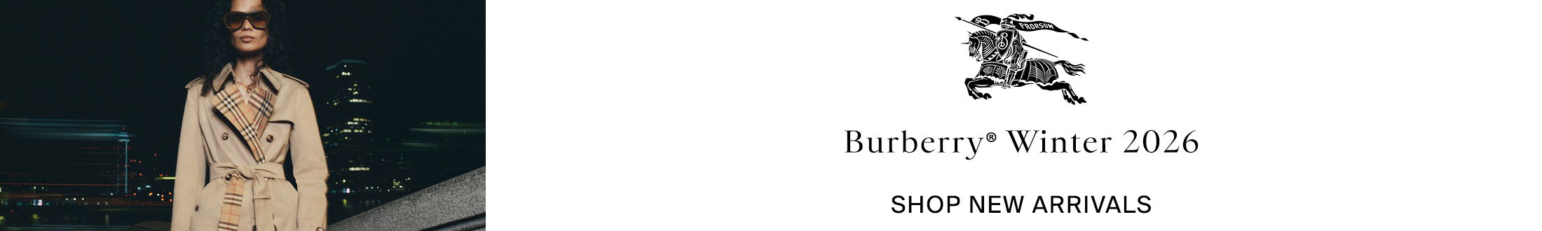 Burberry Promotional Banner