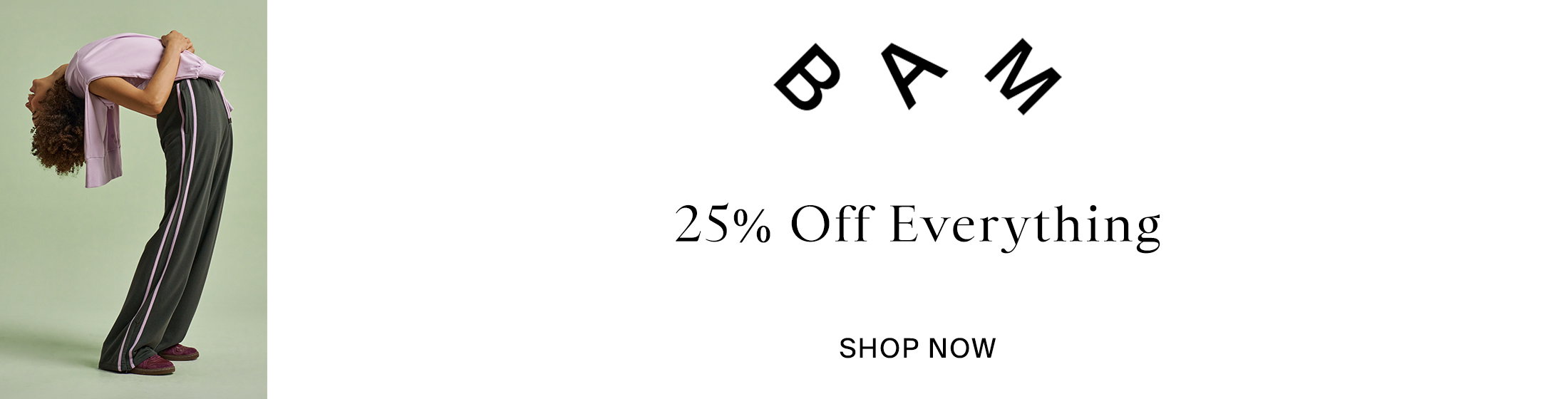 BAM Promotional Banner