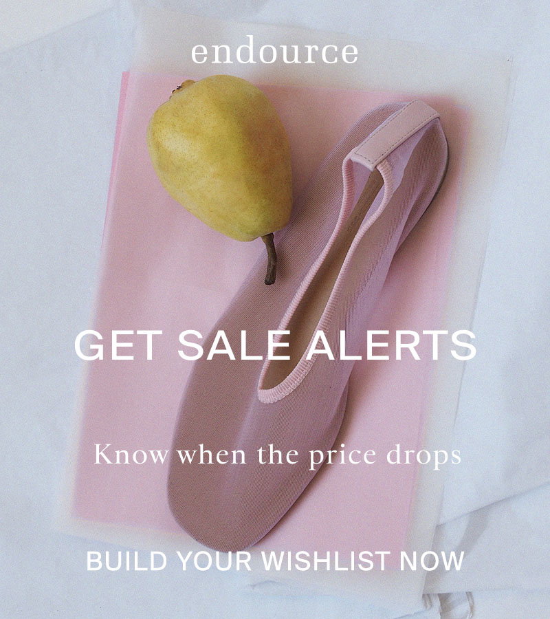endource wishlist banner with pink ballet flats