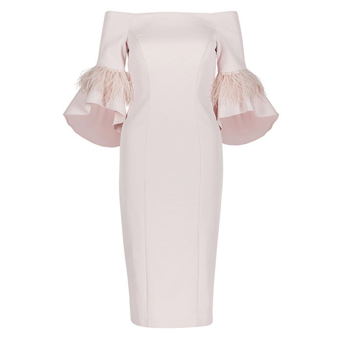 Coast Sadie Feather Trim Shift Dress | Endource